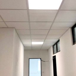 LEO_BUD VOLODYMYR KOZLOVSKYY - Korytarz biurowy z podwieszanym sufitem kasetonowym, widoczne panele LED i świeżo pomalowane ściany na gładko, czarne ramy drzwiowe i okienne.