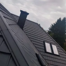 Czarny dach z blachy trapezowej z kominem i dwoma oknami dachowymi, widok z dołu na tle pochmurnego nieba i zieleni drzew.