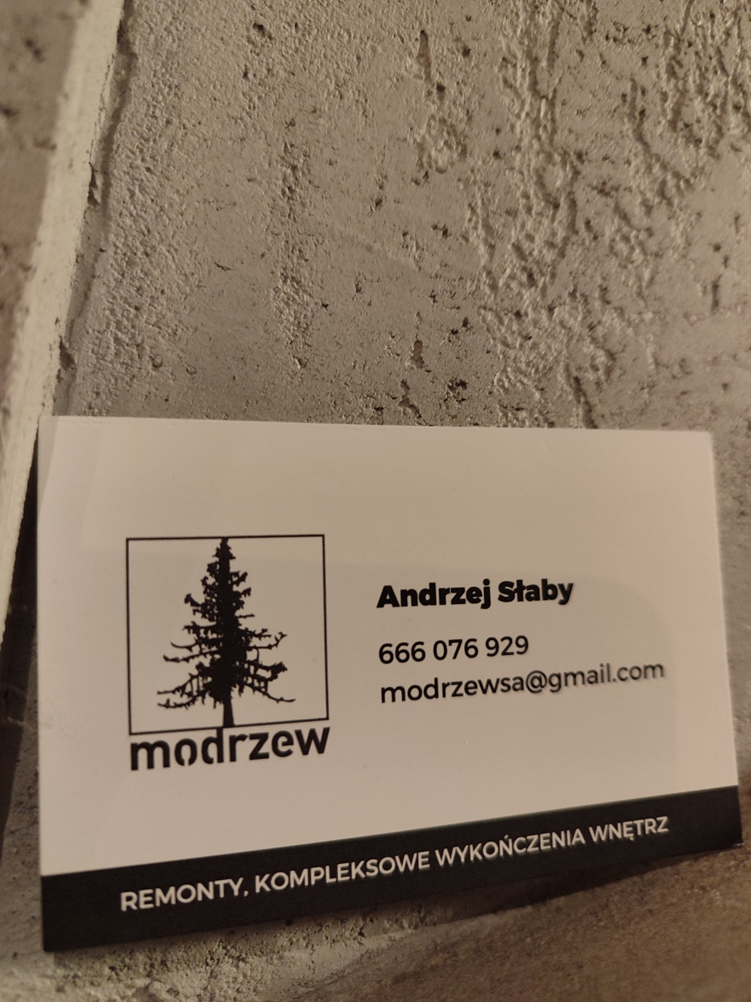Wizytówka firmy remontowej 'modrzew' z logo drzewa iglastego, numerem telefonu i adresem e-mail, leżąca na szarej, chropowatej ścianie.