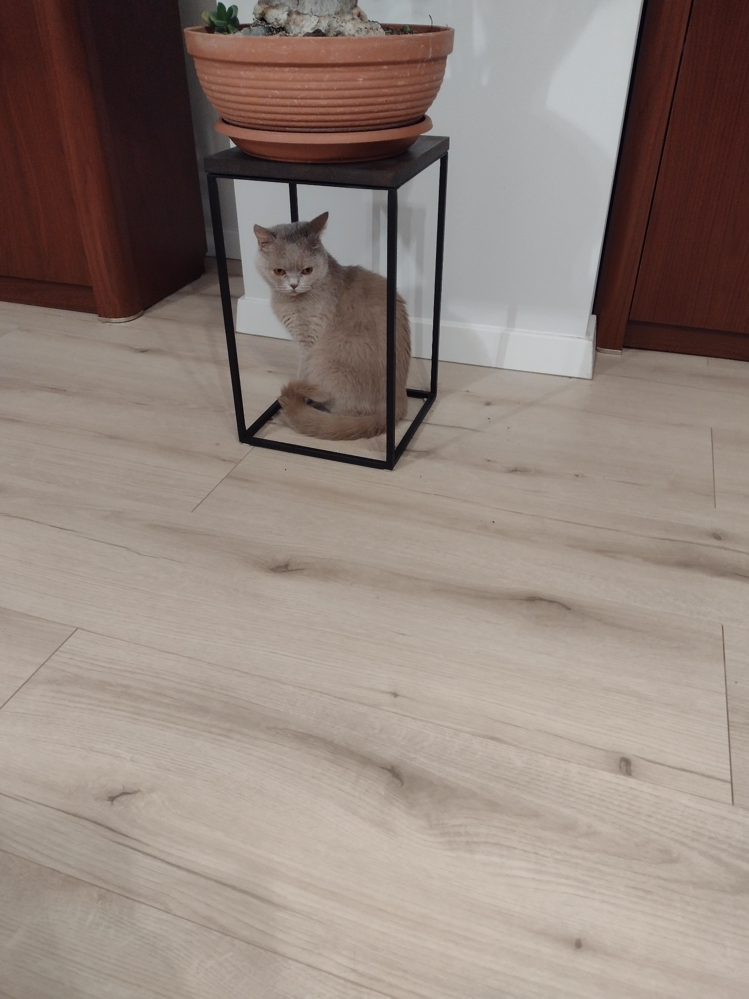 Prosty kwietnik z prętów kwadratowych, z blatem dębowym