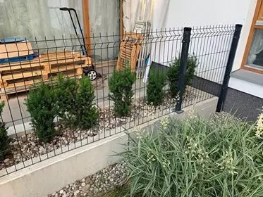 Metalowe ogrodzenie z paneli siatkowych, oddzielające rabatę z tujami od trawnika. W tle paleta, taczka i drabina oparta o ogrodzenie.