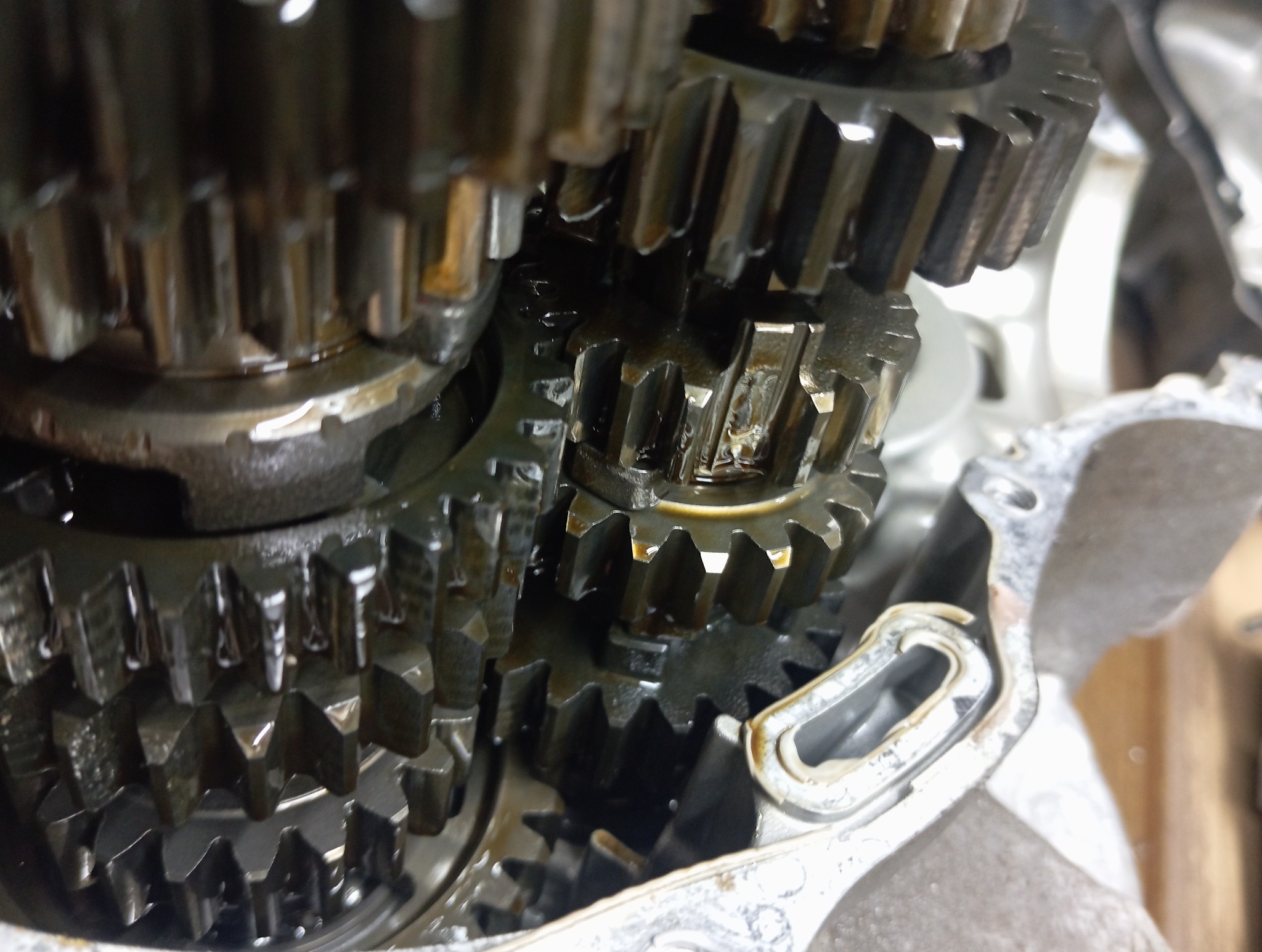 Olejone, metalowe koła zębate wewnątrz skrzyni biegów, widoczne ślady zużycia i smarowania. Detal mechanizmu przekładni w zbliżeniu, zarys obudowy.