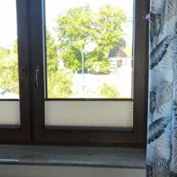 Brązowe okno z plisowanymi roletami, widok na zieleń. Dekoracyjna zasłona z motywem liści. Biały grzejnik pod oknem. Jasne, naturalne światło.