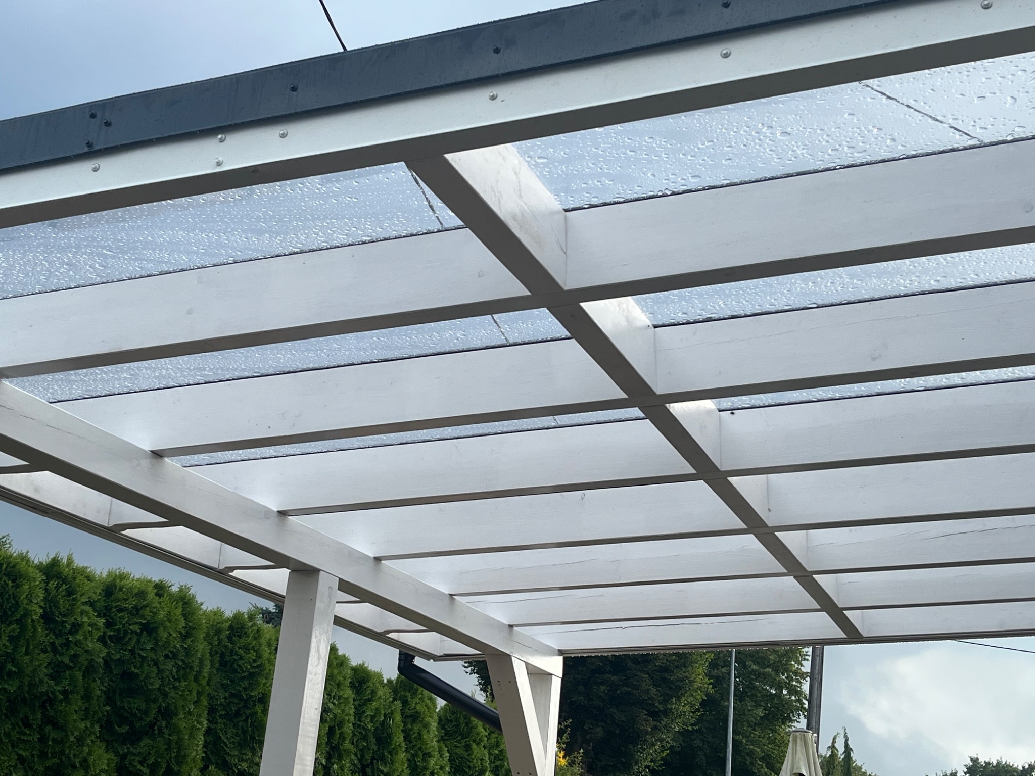 Biała, drewniana pergola z przezroczystym zadaszeniem, widok od dołu. Na zadaszeniu krople deszczu, w tle zielone drzewa.