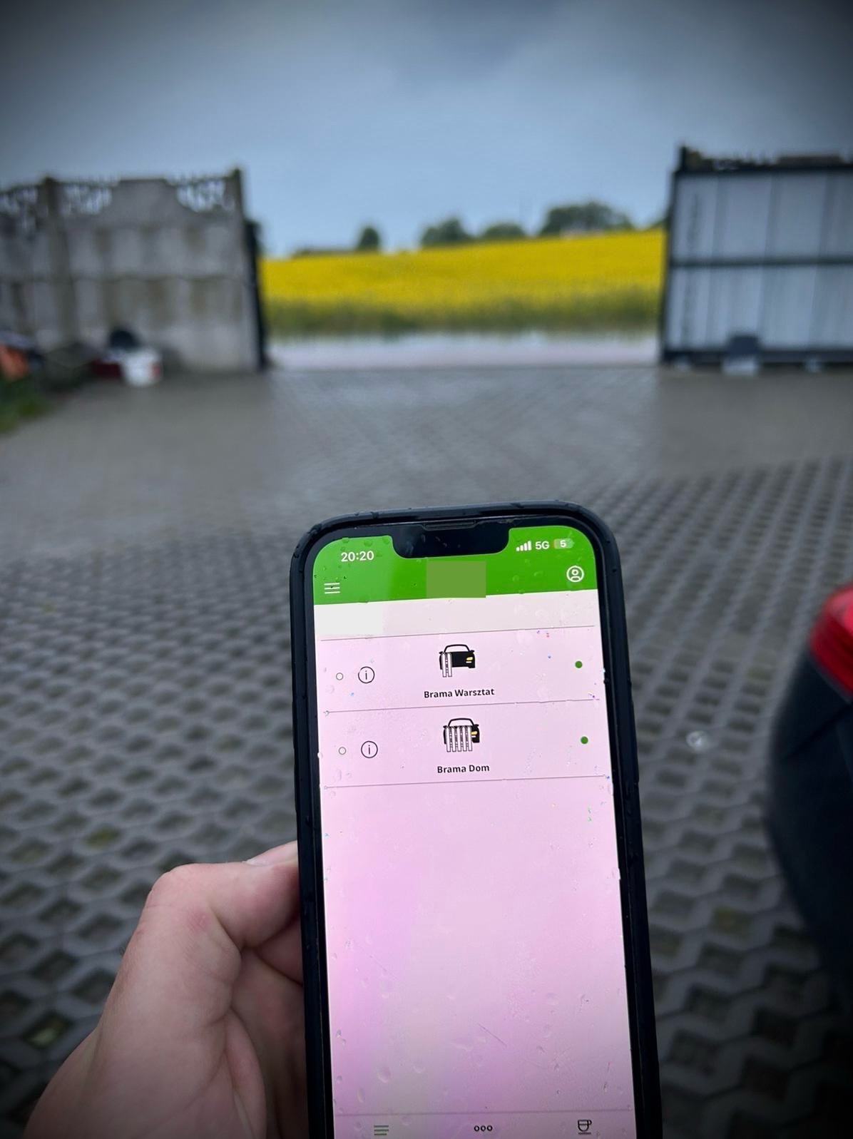 Aplikacja mobilna z kontrolą bramy w tle otwartej bramy wjazdowej i pola rzepaku. Inteligentne sterowanie bramą garażową i wjazdową.
