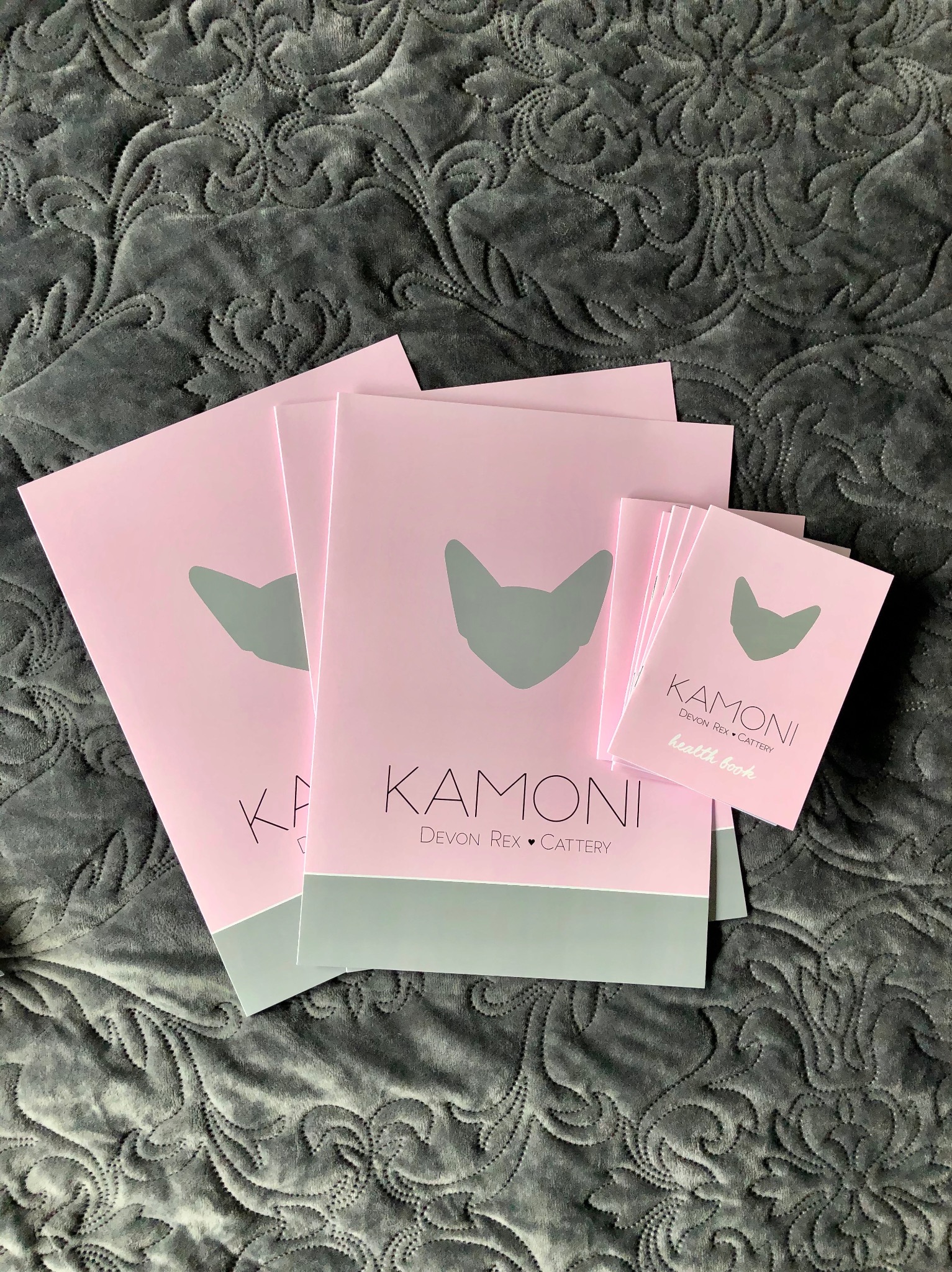 Stos różowych materiałów firmowych z logo w kształcie kociej głowy na tle szarej, wzorzystej tkaniny.