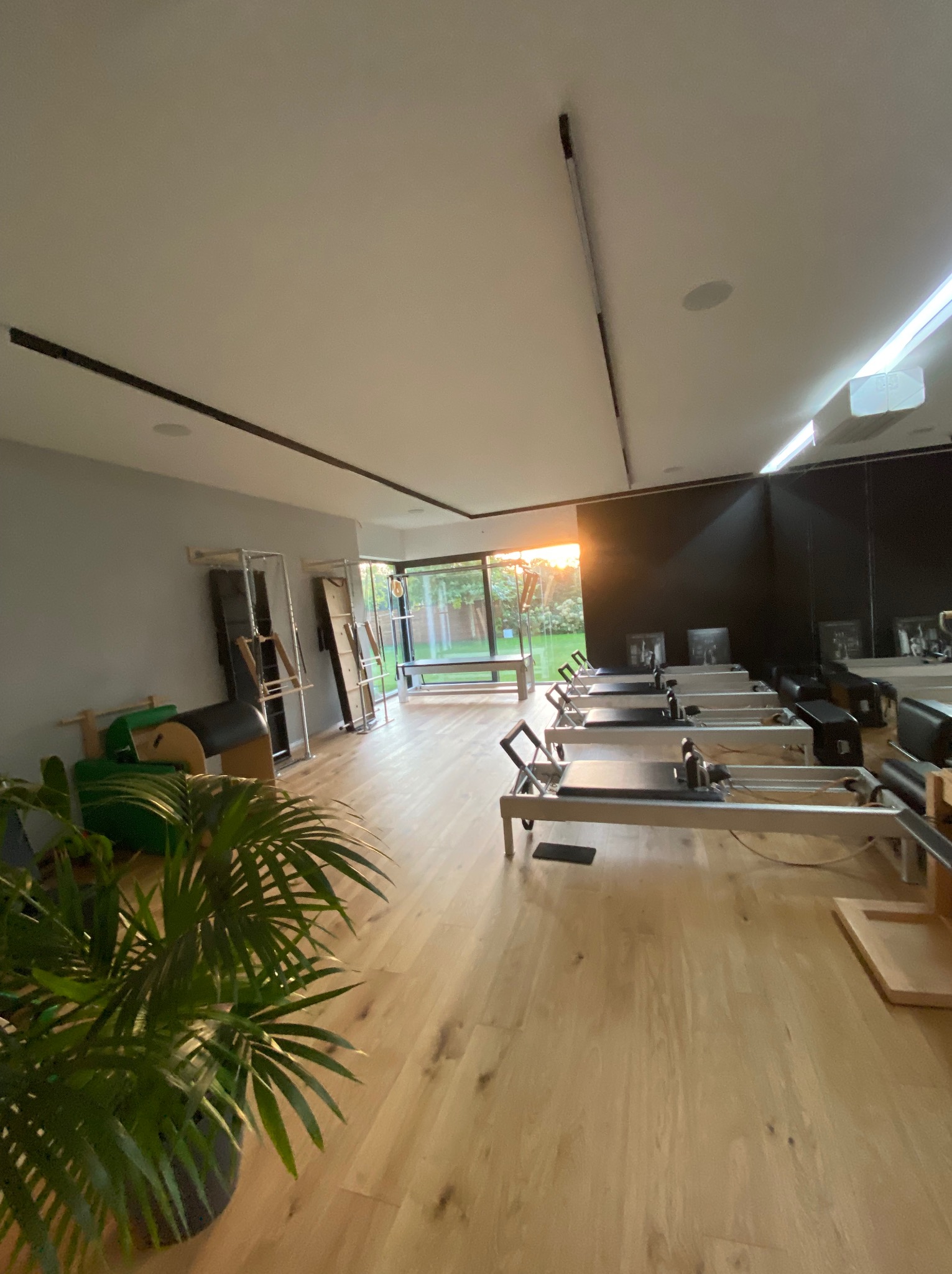 Jasne wnętrze sali do ćwiczeń z parkietem, rzędem maszyn do pilatesu, zieloną rośliną w donicy i widokiem na ogród przez duże okno.