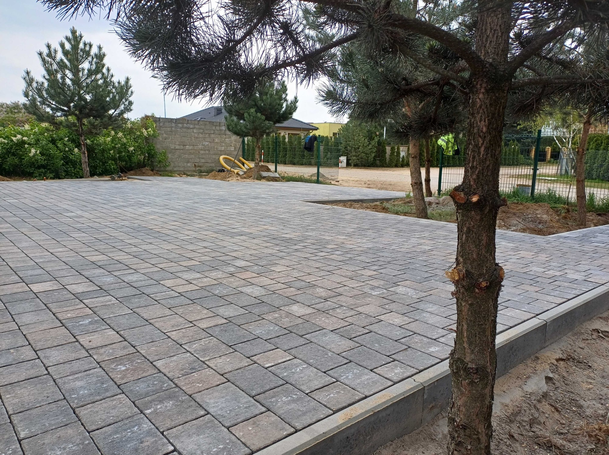 Ułożona kostka brukowa w odcieniach szarości i beżu, obrzeża betonowe, widok z perspektywy drzewa iglastego, w tle dom jednorodzinny i ogrodzenie.