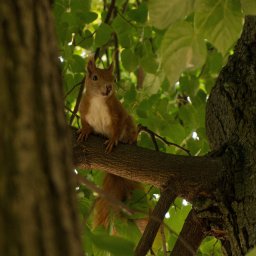 Fotograf wnętrz Szczecin 2
