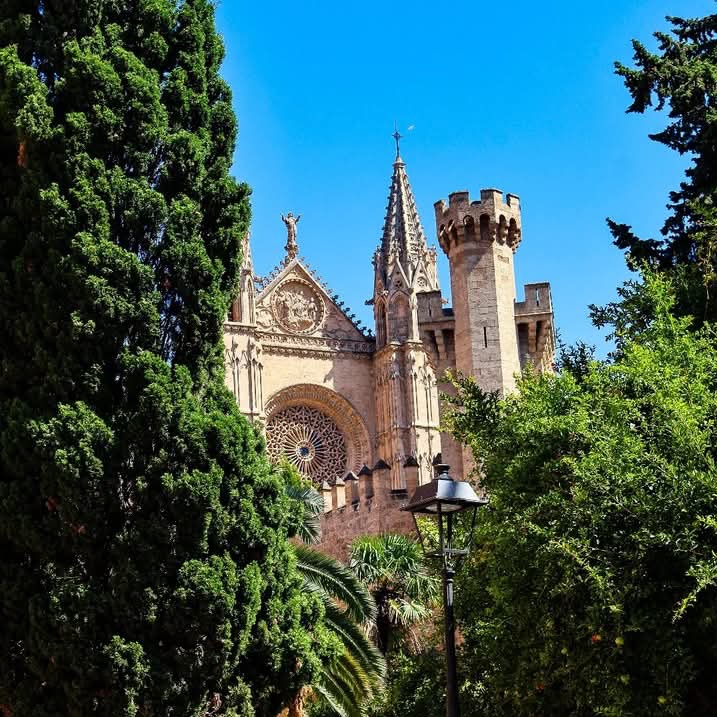 Fasada gotyckiej katedry z rozetą, wieżyczkami i rzeźbami, częściowo przesłonięta zielenią drzew i latarnią uliczną