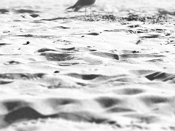 Czarno-białe ujęcie piasku na plaży z widocznymi śladami stóp i sylwetką ptaka w tle, głębia ostrości skupiona na bliższym planie.