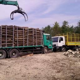 Zielony samochód ciężarowy z załadunkiem drewna okrągłego, obok drugi samochód z koszem załadunkowym i stertą drewna na ziemi, w tle las.