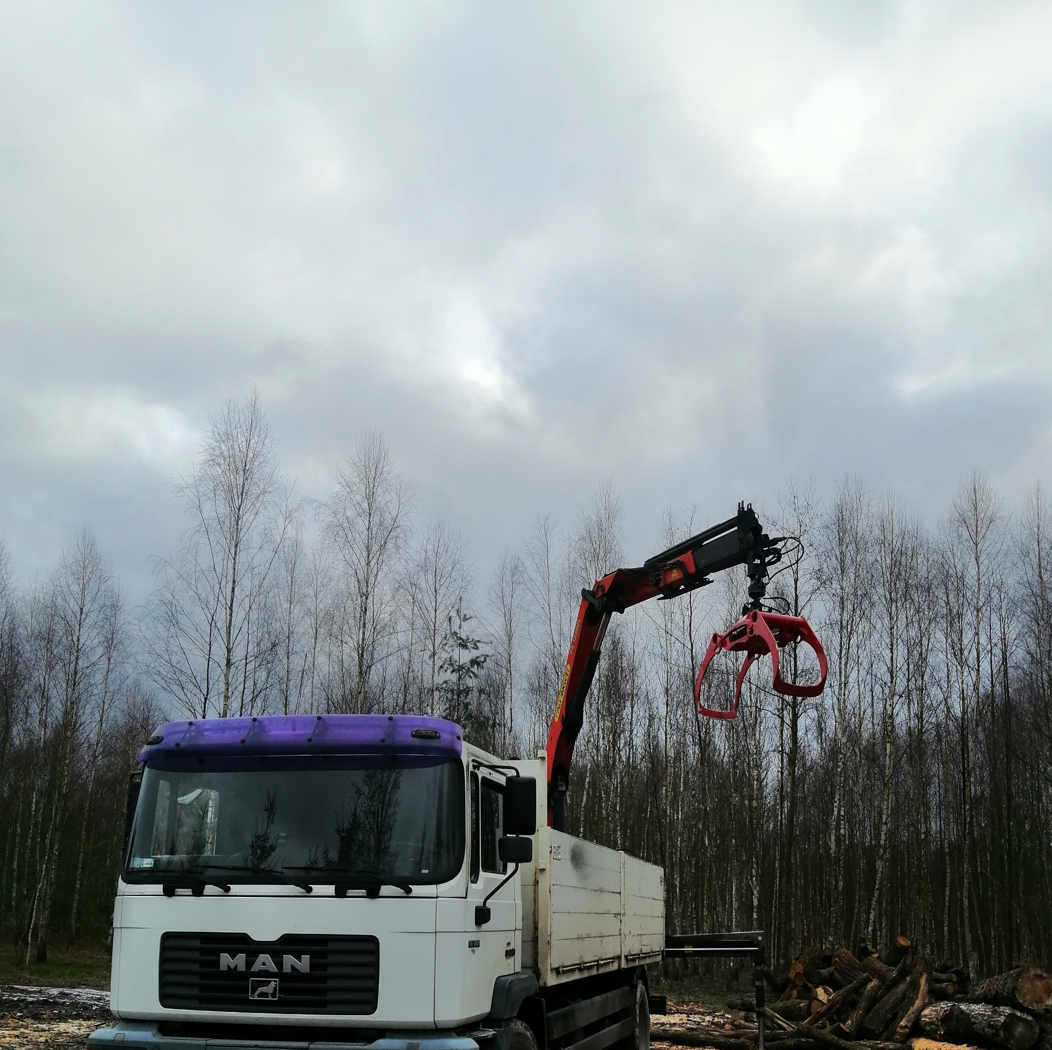 Biała ciężarówka MAN z czerwonym żurawiem hydraulicznym do załadunku drewna na tle lasu z nagromadzonymi kłodami.
