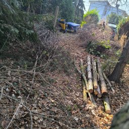 KNT Usługi leśno ogrodnicze Nikola Balcyrzak - Stos pociętych pni drzew leżący na ziemi pokrytej liśćmi, w tle rębarka do gałęzi i częściowo widoczny budynek