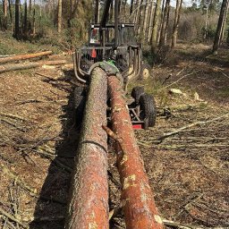 KNT Usługi leśno ogrodnicze Nikola Balcyrzak - Maszyna leśna chwyta dwa pnie drzew iglastych w lesie, widoczne ślady po wycince i gałęzie na ziemi.