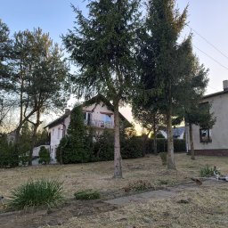 KNT Usługi leśno ogrodnicze Nikola Balcyrzak - Trawa po koszeniu na tle domu jednorodzinnego, widoczne ścięte gałęzie i kosiarka spalinowa.