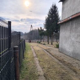 KNT Usługi leśno ogrodnicze Nikola Balcyrzak - Podwórko z wykoszoną trawą, widoczny budynek gospodarczy, czarny metalowy płot i rząd drzew w tle, w słoneczny dzień.