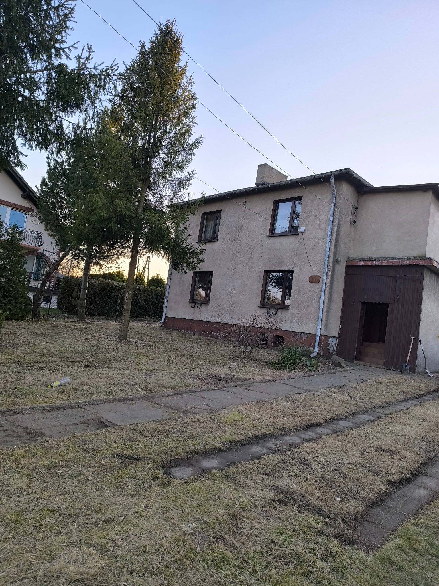 Ogród przed domem z trzema smukłymi drzewami iglastymi, z wygrabioną trawą wzdłuż ścieżki i narzędziami opartymi o ścianę garażu.