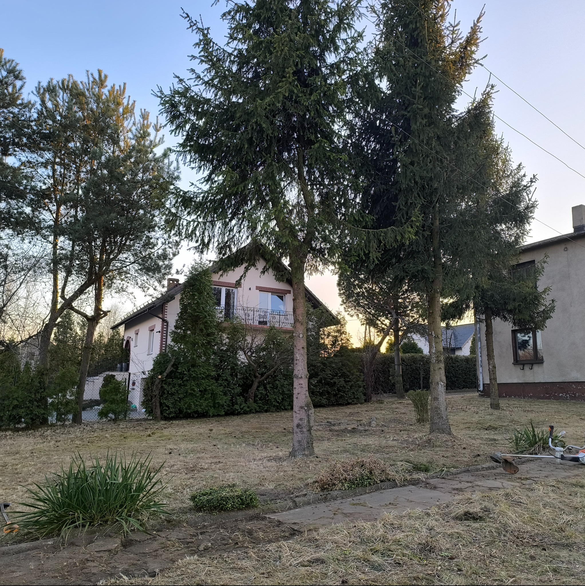 Trawa po koszeniu na tle domu jednorodzinnego, widoczne ścięte gałęzie i kosiarka spalinowa.