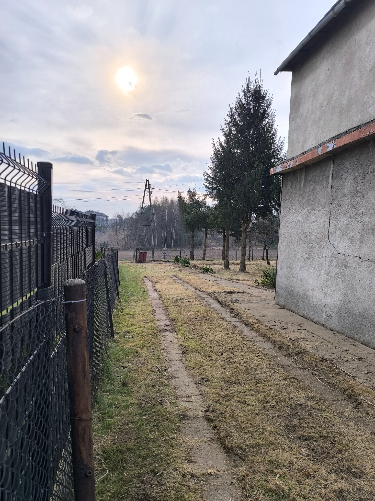 Podwórko z wykoszoną trawą, widoczny budynek gospodarczy, czarny metalowy płot i rząd drzew w tle, w słoneczny dzień.