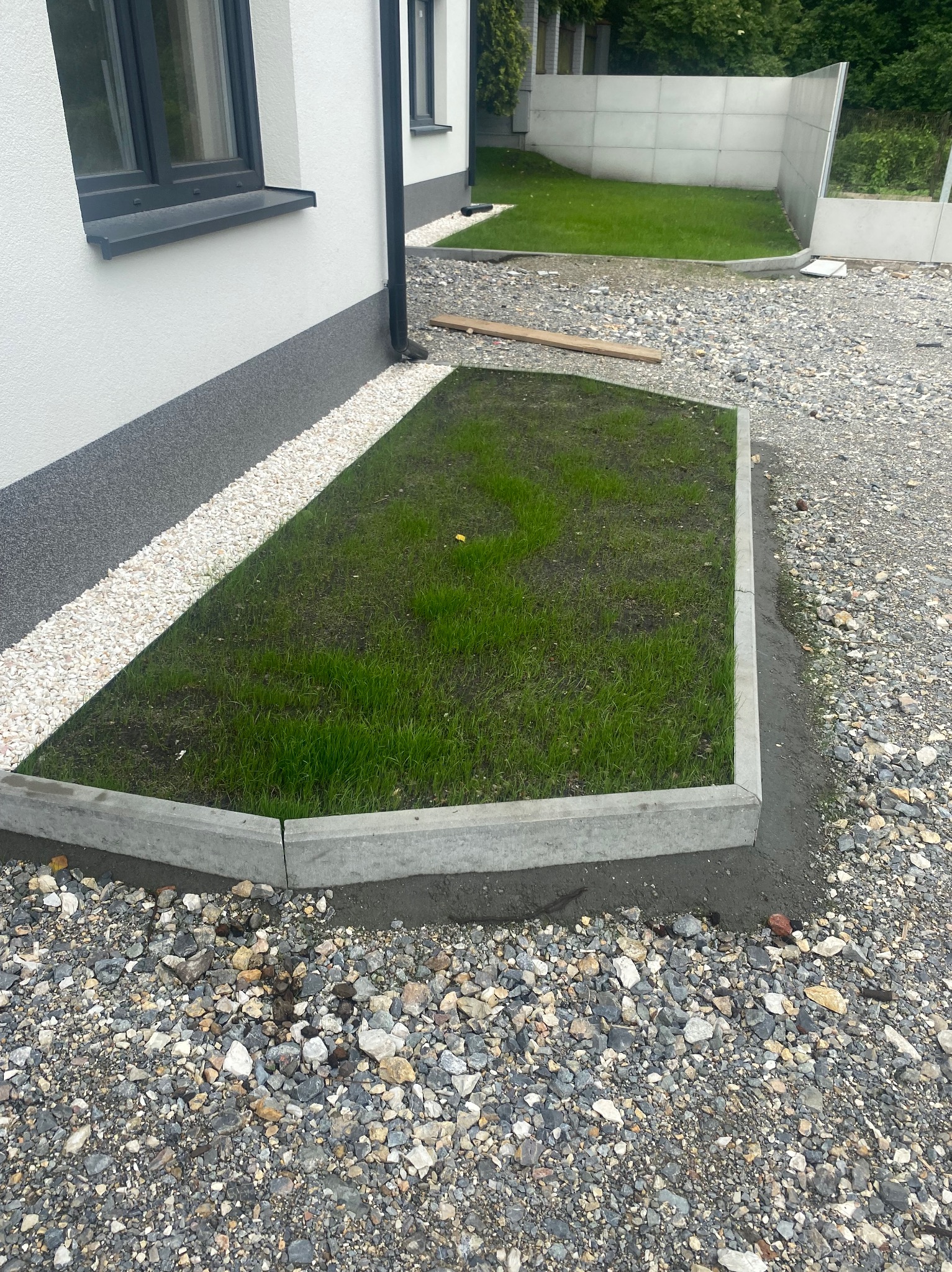 Narożny, wykończony klomb z młodą trawą przy białym domu. Obrzeże z betonowych elementów. Szara nawierzchnia z kamyków. Widok na fragment trawnika i betonowy mur.
