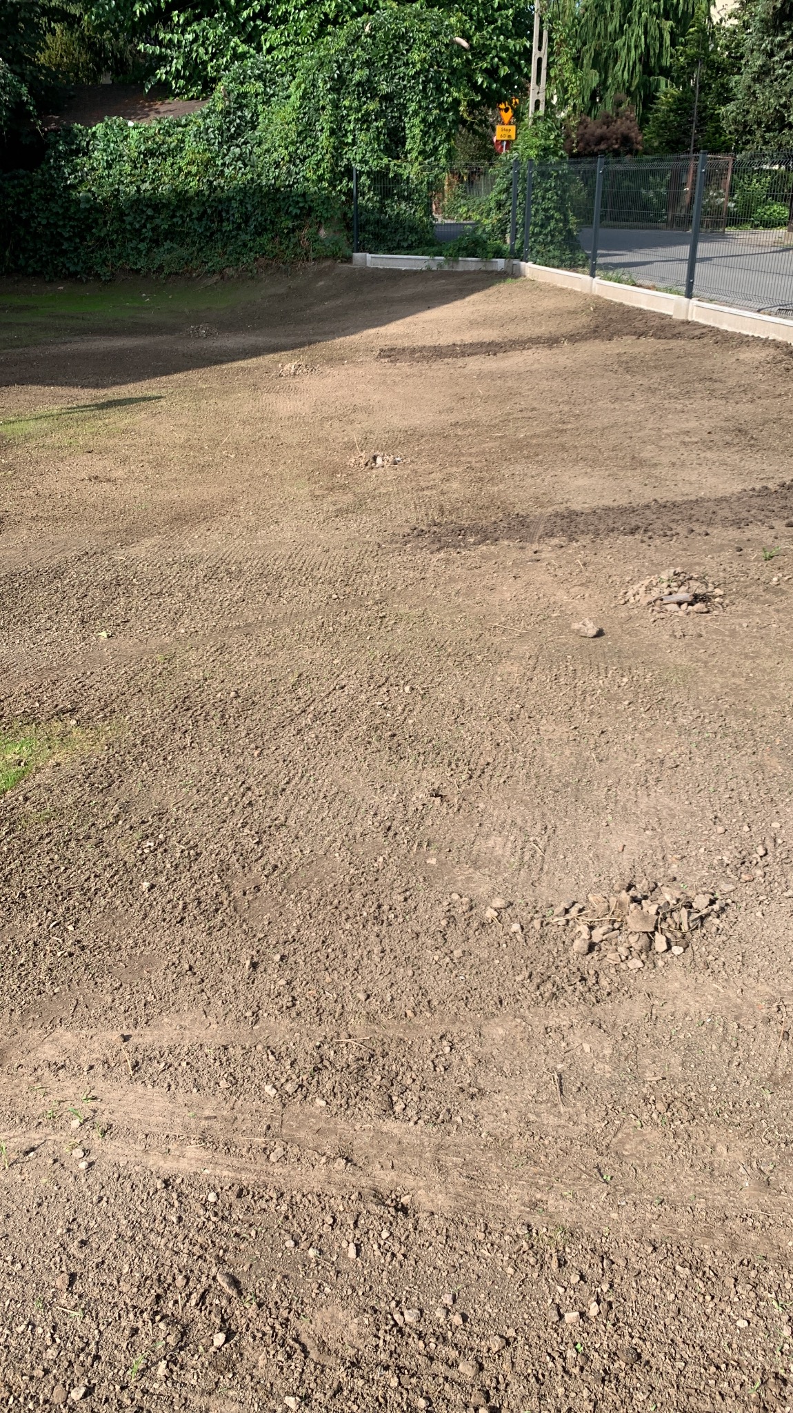 Przygotowany teren pod trawnik: wyrównana ziemia z widocznymi śladami po bronowaniu, kamienie zebrane w kupki. W tle ogrodzenie i zieleń.