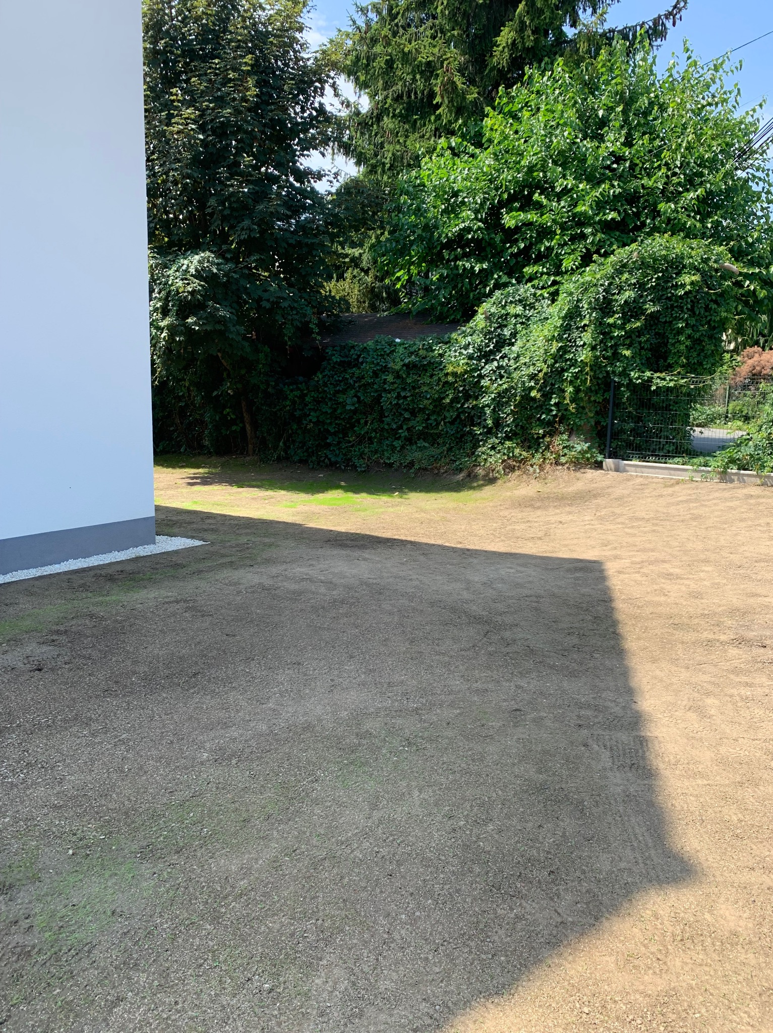 Przygotowany teren pod trawnik z widocznym fragmentem budynku z białymi kamykami przy podstawie. Z tyłu zieleń drzew i krzewów w słoneczny dzień.