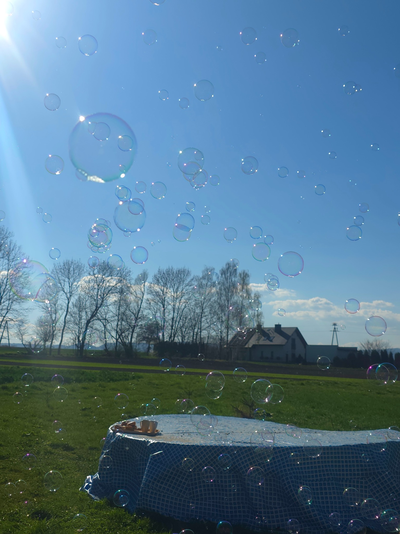 Mnóstwo baniek mydlanych unosi się na tle błękitnego nieba, drzew bez liści i zielonego trawnika z piknikowym stołem przykrytym niebieską kratą.