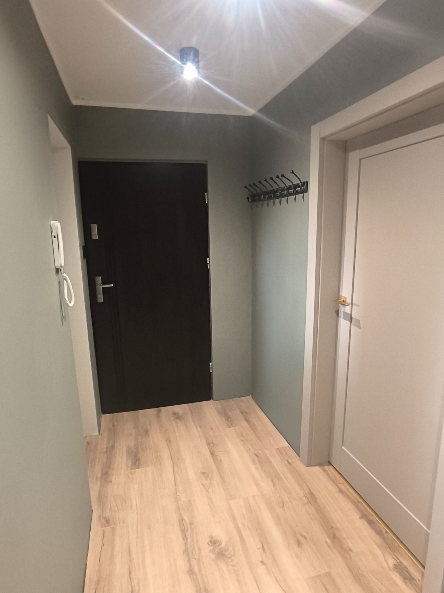 Wykończony korytarz w Świdnicy: jasne panele podłogowe, ściany w odcieniach szarości, dwoje drzwi, wieszak na ubrania. Nowoczesny minimalizm.