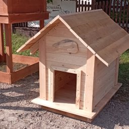 Walczak - Drewniana buda dla psa z surowego drewna, z charakterystyczną ozdobą w kształcie mapy na ścianie, na tle częściowo widocznej drewnianej konstrukcji i zieleni.