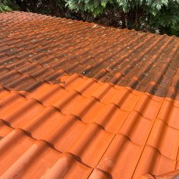 Jarosław Łukasiewicz - Częściowo wyczyszczony dach z czerwonej dachówki, widoczna różnica w kolorze i czystości między umytą a zabrudzoną częścią. Ujęcie z góry, w tle zieleń drzew.