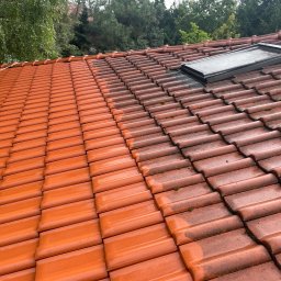 Jarosław Łukasiewicz - Częściowo umyty dach z czerwonej dachówki, widoczna różnica w czystości, okno dachowe, drzewa w tle. Prezentacja efektu czyszczenia dachu.