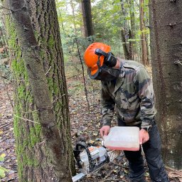 Jarosław Łukasiewicz - Leśny pracownik w kasku i masce dolewa paliwo do piły spalinowej przy pniu drzewa pokrytego mchem, przygotowując się do wycinki w naturalnym, leśnym otoczeniu.