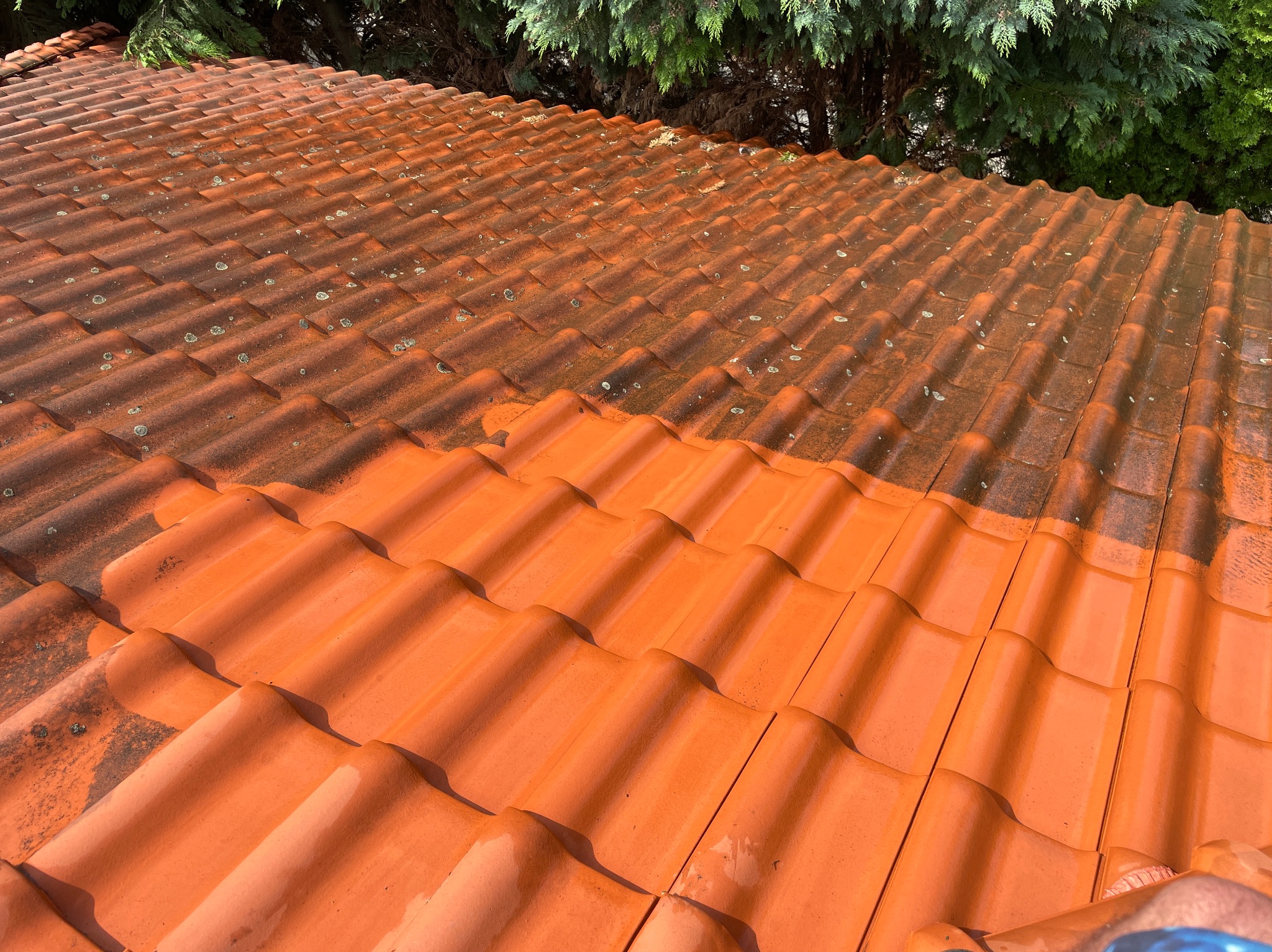 Częściowo wyczyszczony dach z czerwonej dachówki, widoczna różnica w kolorze i czystości między umytą a zabrudzoną częścią. Ujęcie z góry, w tle zieleń drzew.