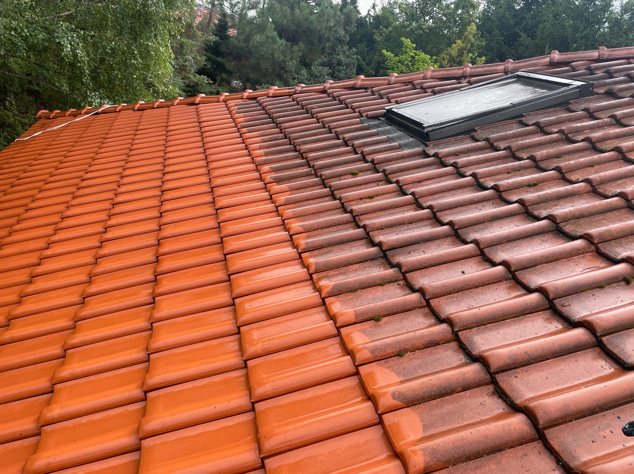 Częściowo umyty dach z czerwonej dachówki, widoczna różnica w czystości, okno dachowe, drzewa w tle. Prezentacja efektu czyszczenia dachu.