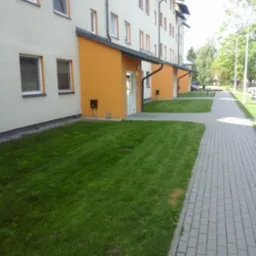 Zadbany trawnik przed budynkiem wielorodzinnym w Głownie, z widocznymi śladami po koszeniu i równo przystrzyżoną krawędzią przy chodniku.