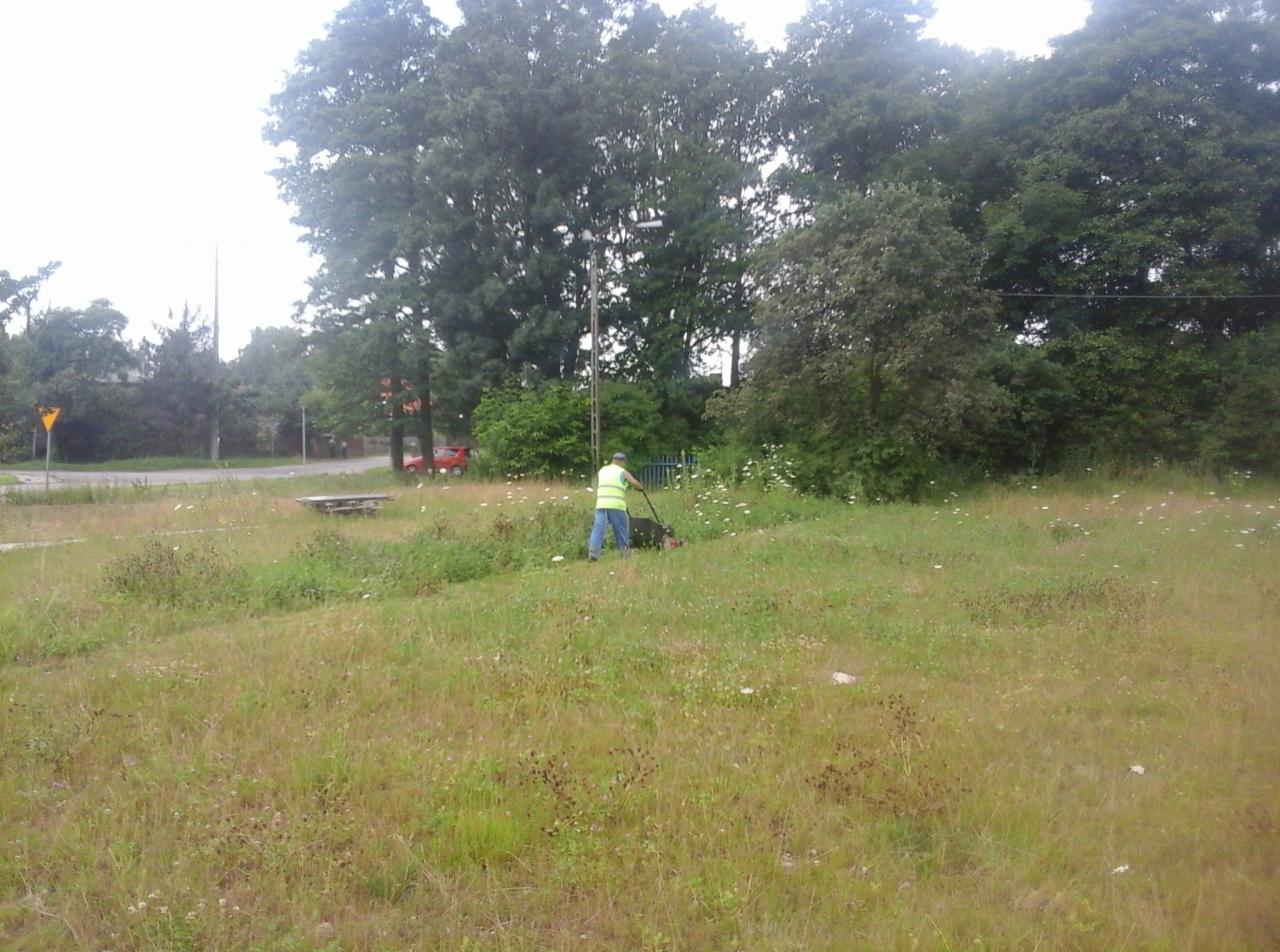 Mężczyzna w kamizelce odblaskowej kosi trawę na zarośniętym terenie, widoczne drzewa w tle i fragment ulicy.