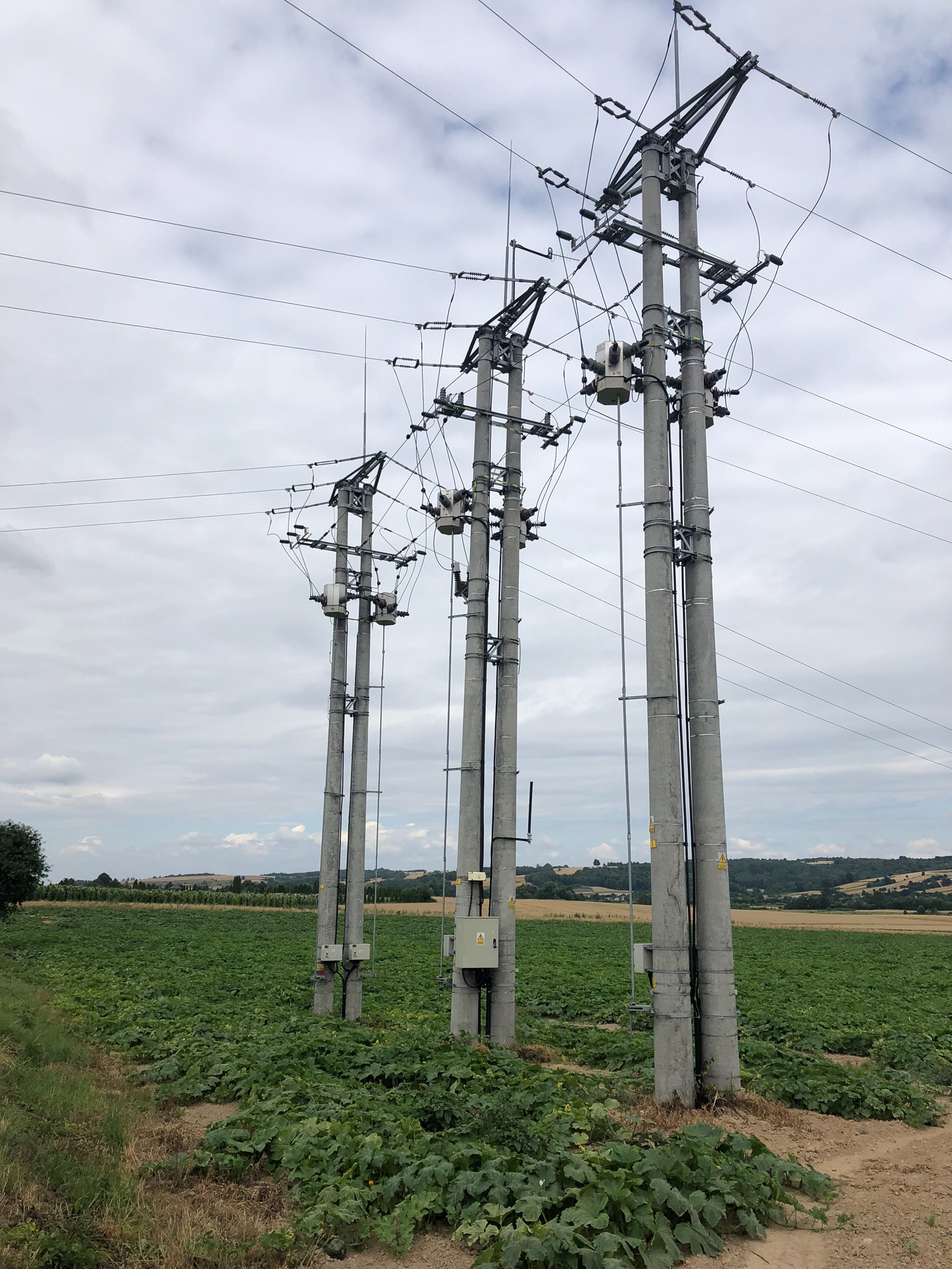 Trzy betonowe słupy wysokiego napięcia na tle upraw polnych i pochmurnego nieba.