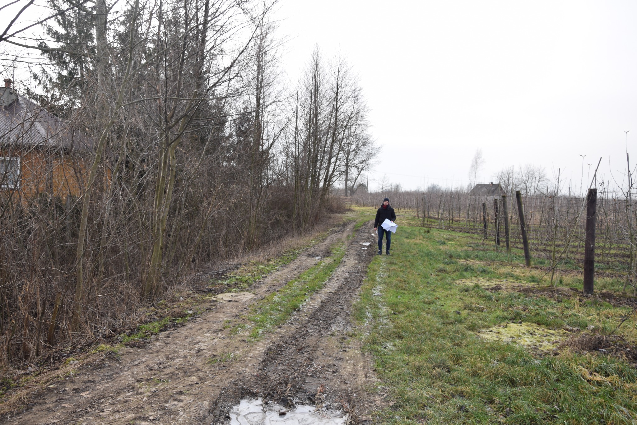 Inżynier z Lublina z planami instalacji elektrycznej idzie polną drogą obok sadu w pochmurny dzień.