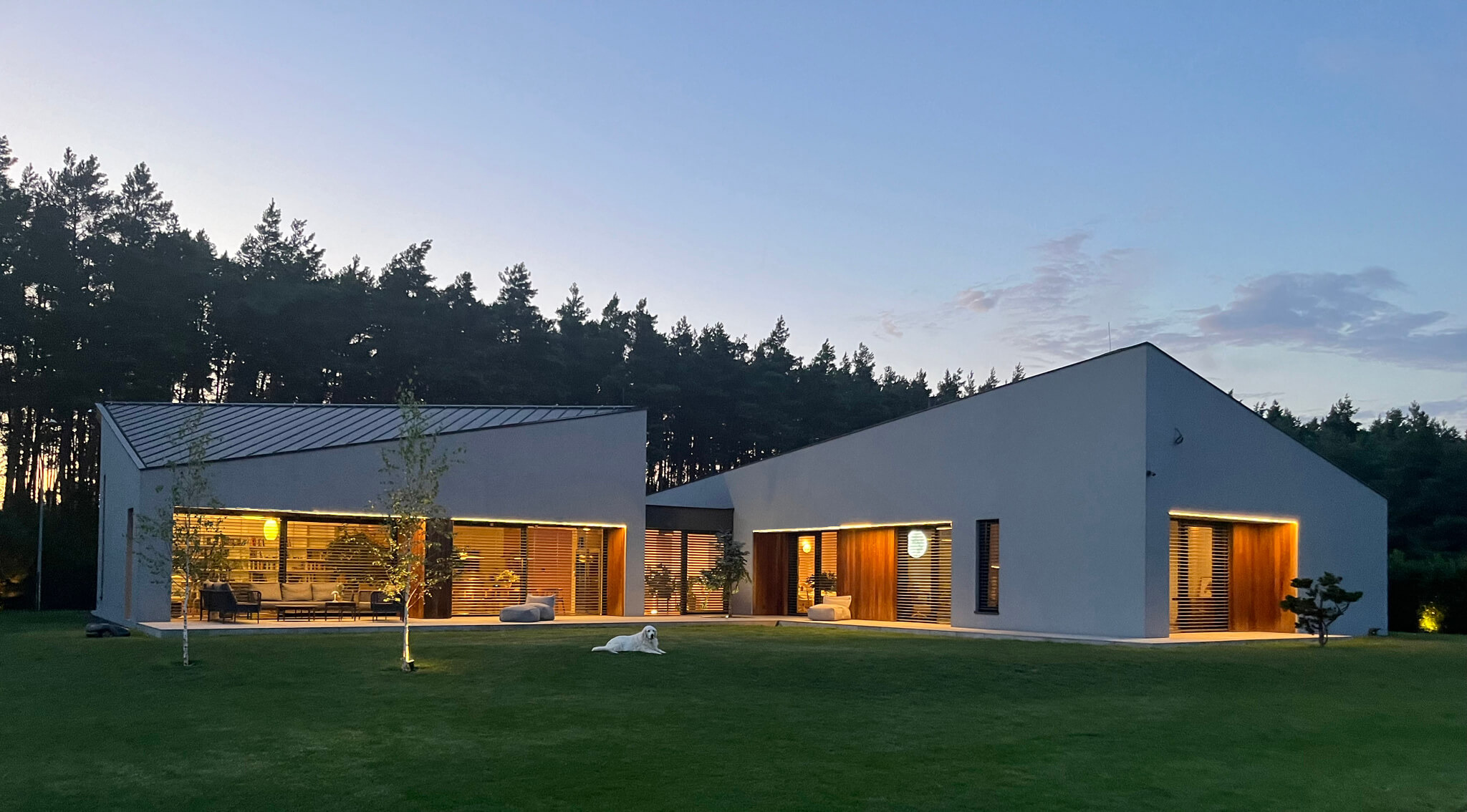 Nowoczesny dom jednorodzinny z płaskim dachem, dużymi oknami z żaluzjami, oświetlony ciepłym światłem, z psem leżącym na trawniku przed budynkiem.
