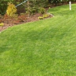 Marian - Dekarz Glinianka