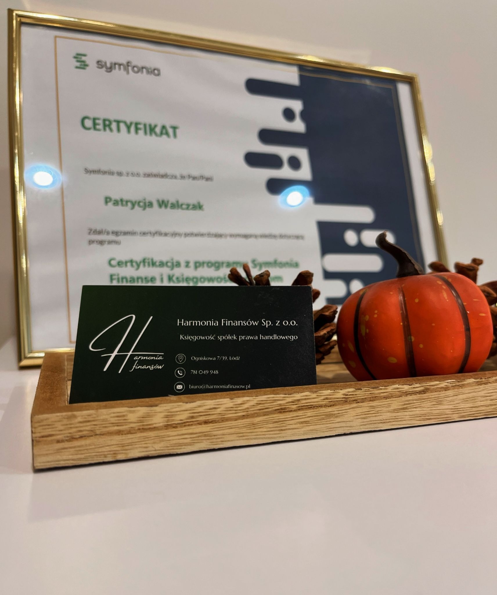 Certyfikat Symfonia i wizytówka Harmonia Finansów Sp. z o.o. z Łodzi, specjalizującej się w księgowości spółek prawa handlowego. Dekoracyjna dynia i szyszki.