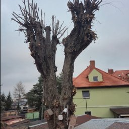 Usługi ogrodnicze i Leśne - Doskonałej Jakości Pielęgnacja Ogrodów Środa Śląska