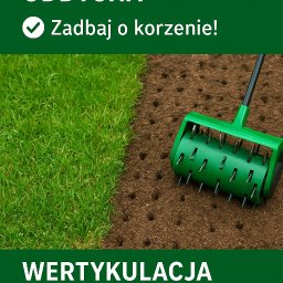 Wycinka drzew Środa Śląska 4