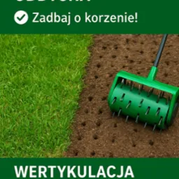 Aerator do trawnika w trakcie pracy, widoczny efekt aeracji gleby obok zdrowej, zielonej trawy. Napis: Twój trawnik oddycha, wertykulacja i areacja trawnika.