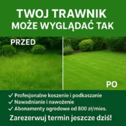 Porównanie trawnika przed i po koszeniu: zarośnięta trawa po lewej, krótko przystrzyżona po prawej. Oferta na koszenie, nawadnianie i abonamenty ogrodowe.