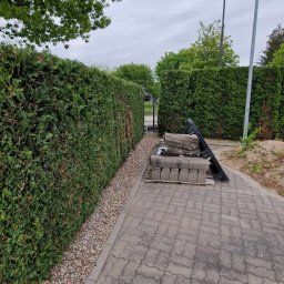 HELPING HAND - Zadbany, wysoki żywopłot z tui szmaragd, oddzielony od chodnika z kostki brzegiem z kamyków. W tle brama i oświetlenie.