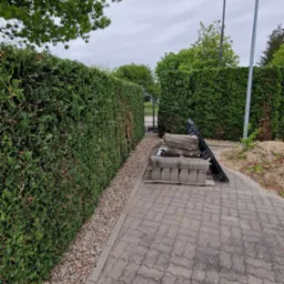 Zadbany, wysoki żywopłot z tui szmaragd, oddzielony od chodnika z kostki brzegiem z kamyków. W tle brama i oświetlenie.