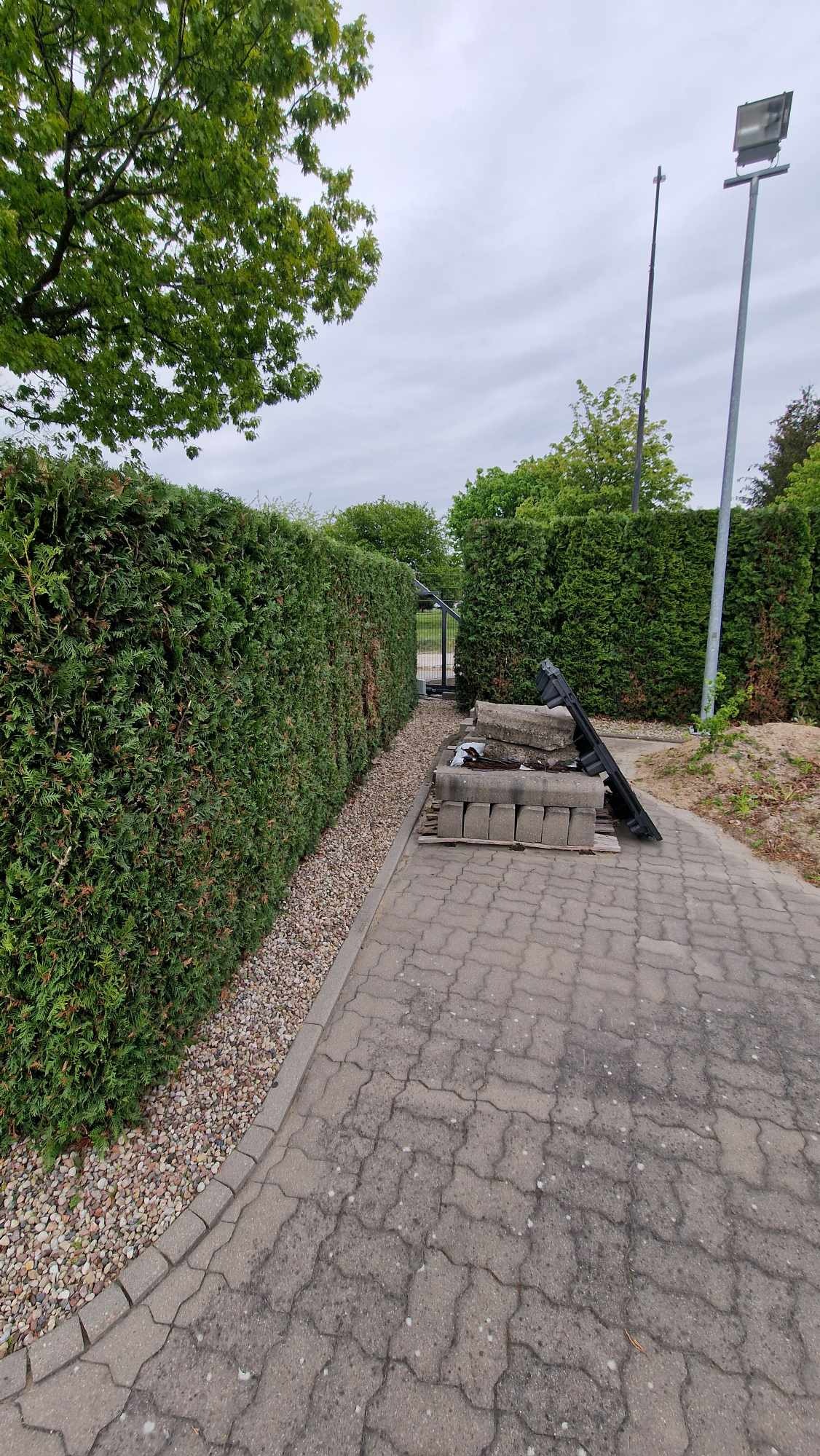 Zadbany, wysoki żywopłot z tui szmaragd, oddzielony od chodnika z kostki brzegiem z kamyków. W tle brama i oświetlenie.