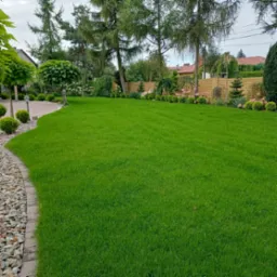 Perfekcyjnie utrzymany trawnik z intensywną zielenią, otoczony ozdobnymi krzewami i drzewami formowanymi w kule, graniczący z kamiennym obrzeżem i brukowanym chodnikiem, w tle ceglany mur i domy.